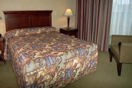 Hilton Garden Downtown Hotel