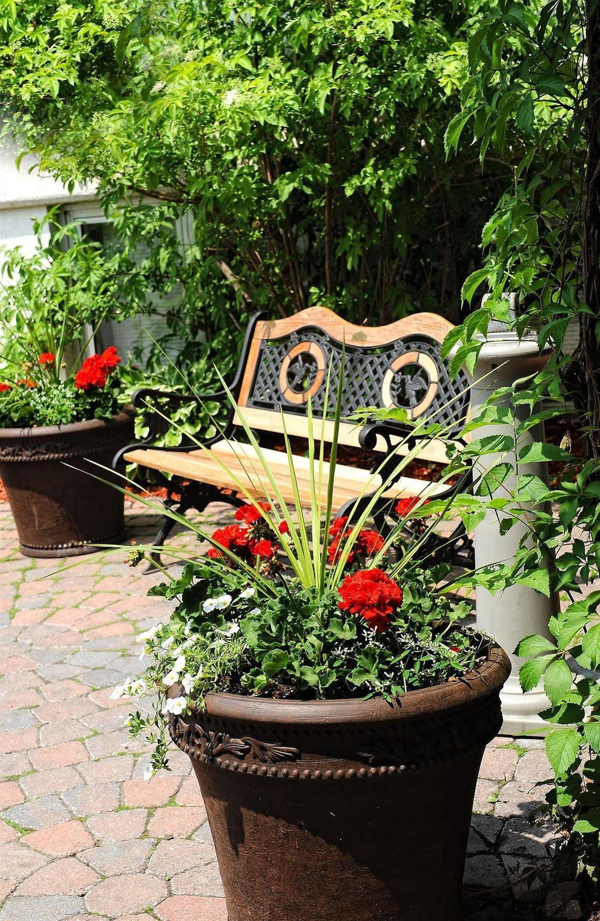 Motel Adam's Airport