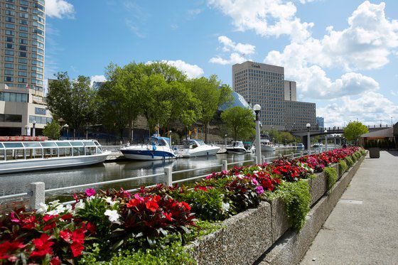 Hilton Garden Downtown Hotel Ottawa