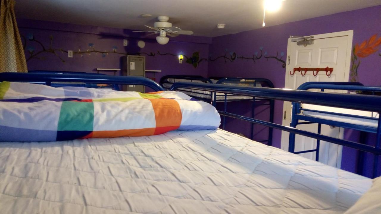 Hostel Backpackers *