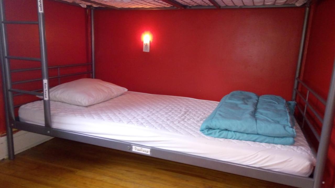 Hostel Backpackers
