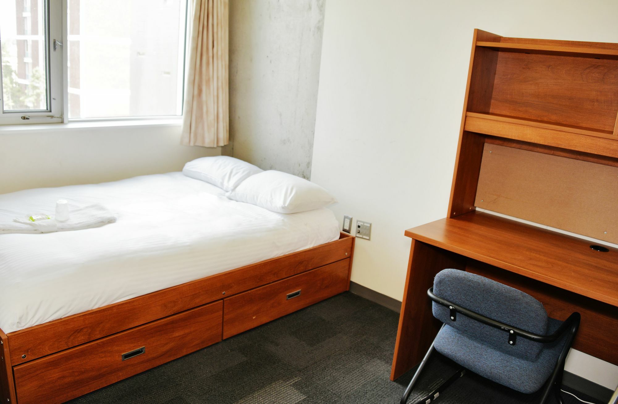 Carleton Apartment